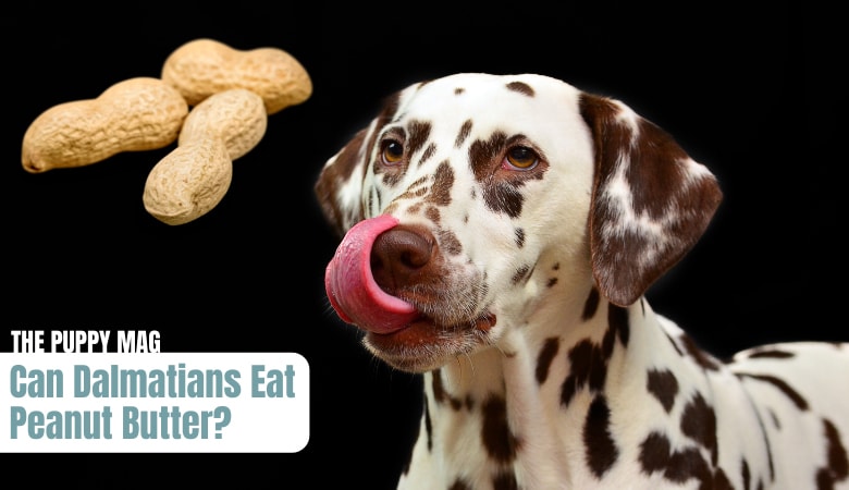can-dalmatians-eat-peanut-butter