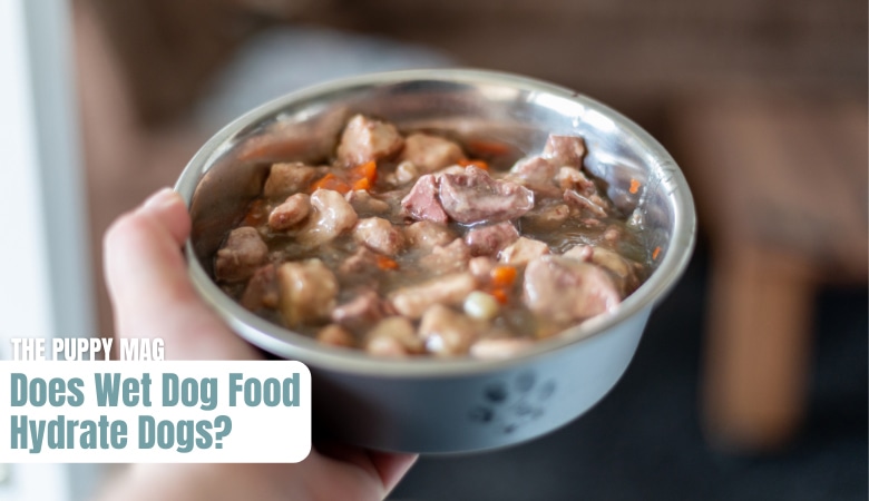 does-wet-dog-food-hydrate-dogs